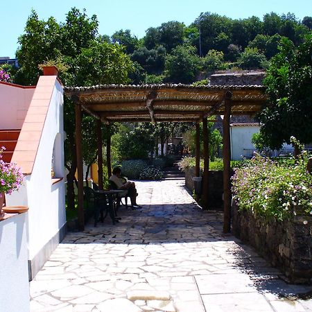 Hotel La Marticana Ischia Ngoại thất bức ảnh