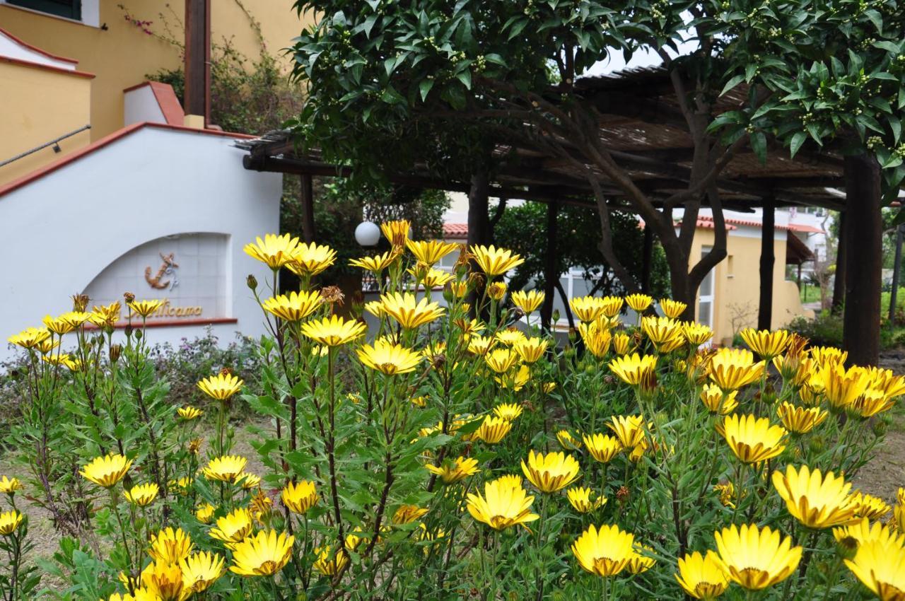 Hotel La Marticana Ischia Ngoại thất bức ảnh