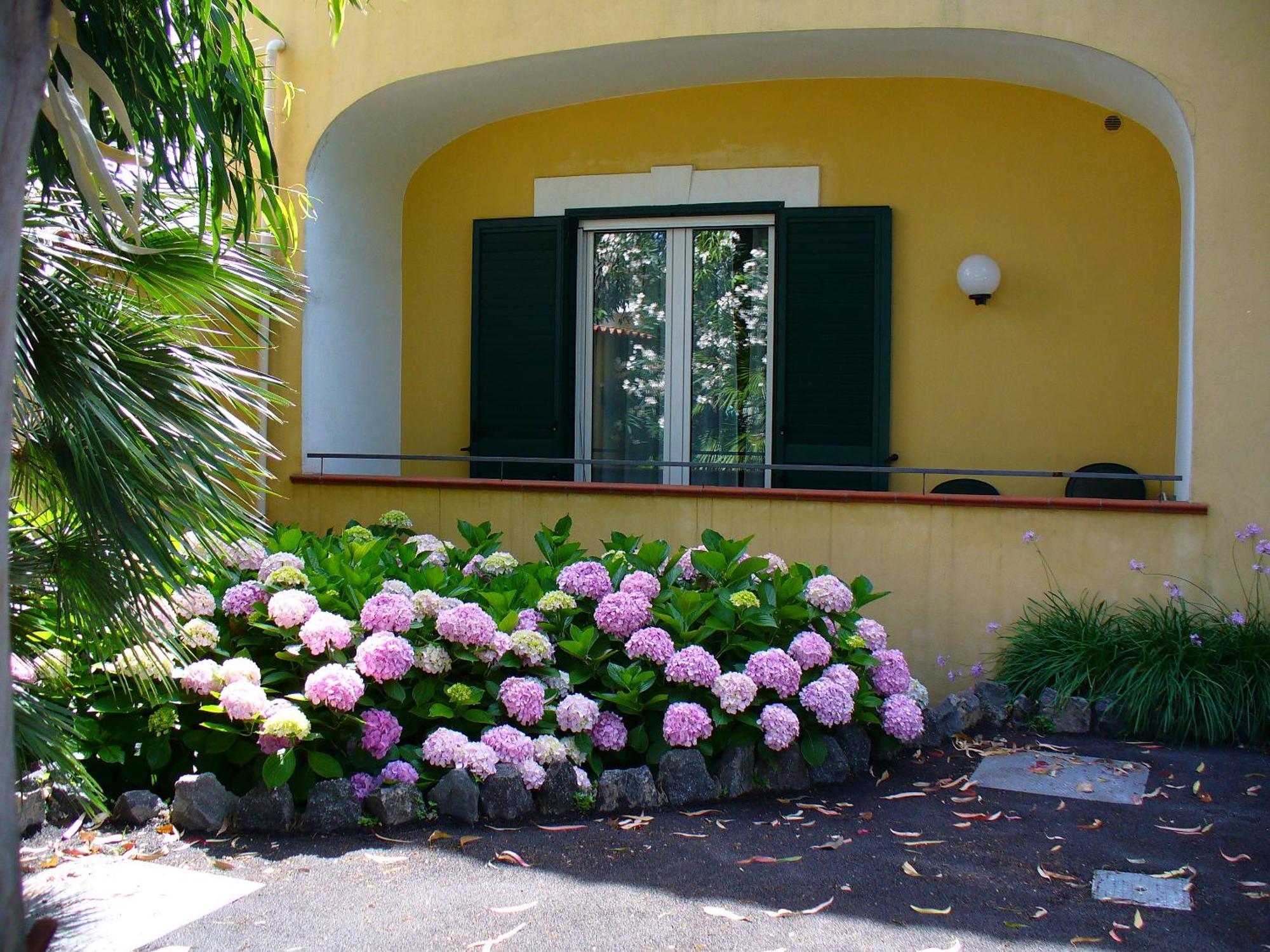 Hotel La Marticana Ischia Ngoại thất bức ảnh