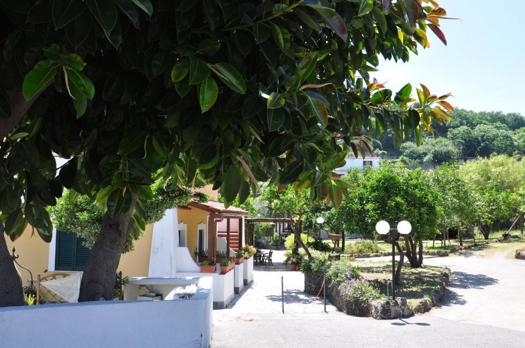Hotel La Marticana Ischia Ngoại thất bức ảnh