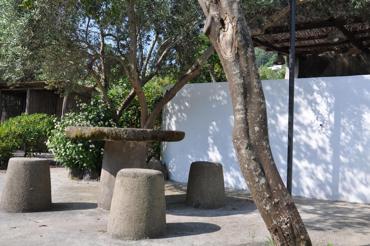 Hotel La Marticana Ischia Ngoại thất bức ảnh